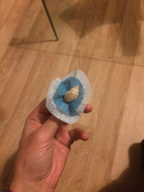 Apres modif, votre avis apres changement de boutonnières - 1