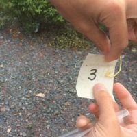 Plan de table fini votre avis? - 6