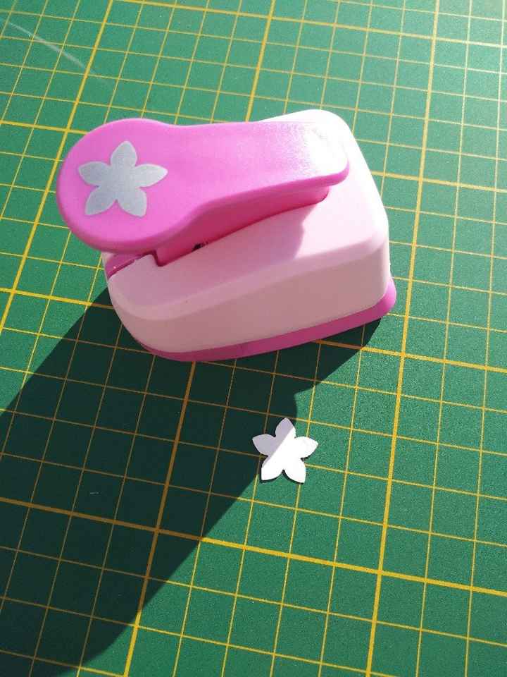 Perforatrice hortensia - 1