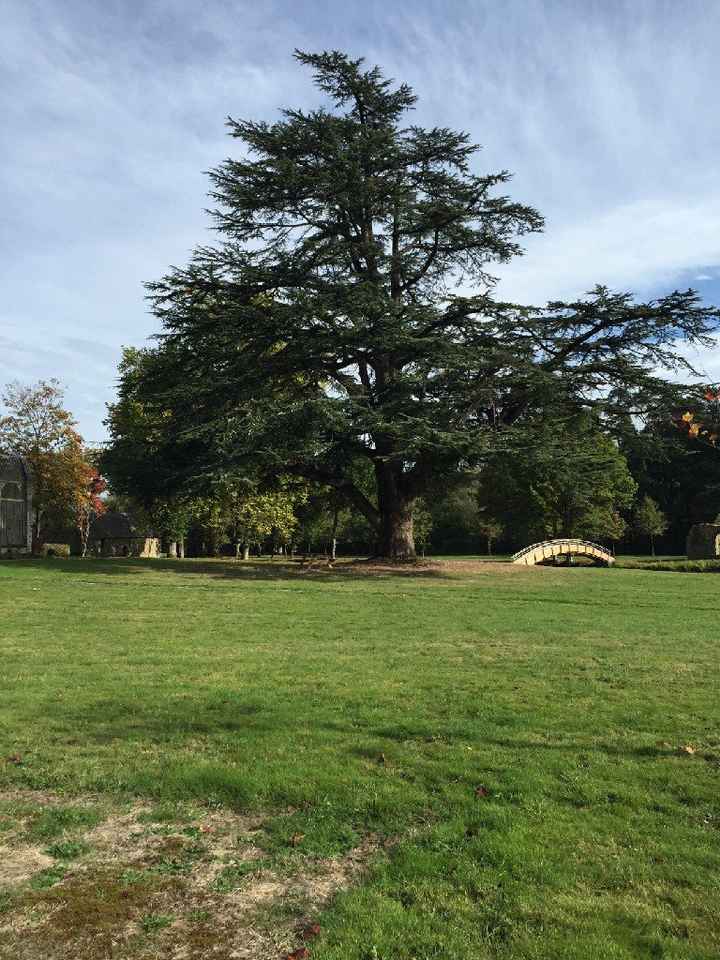 Arbre à empreintes terminé - 2