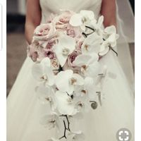 Pour le bouquet, tu es plutôt... - 1