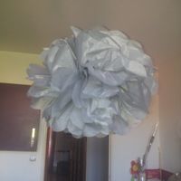 Pompons en papier de soie - 1