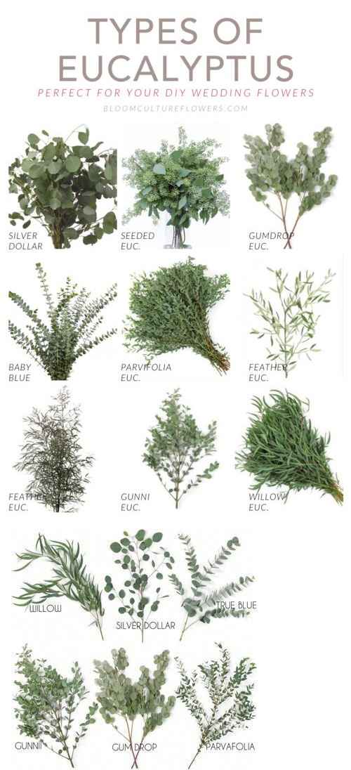 Décoration "guirlande végétale" sur une tablée - 3