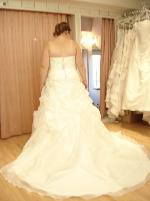 ma robe vu de dos elle est ivoire avec des motifs champagne mais elle parait jaune