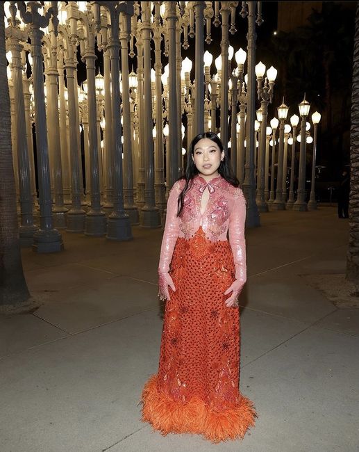 Les plus belles tenues du Gala Lacma 😎 3