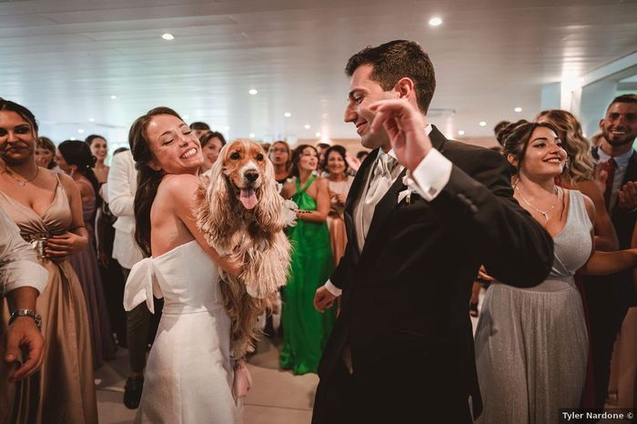 Ton chien invité au mariage ? 🙈 1