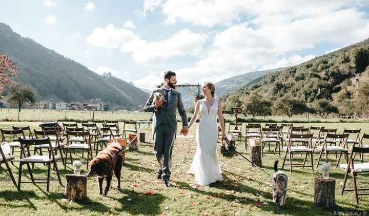 Vos peluches présentes à votre mariage ? - 1