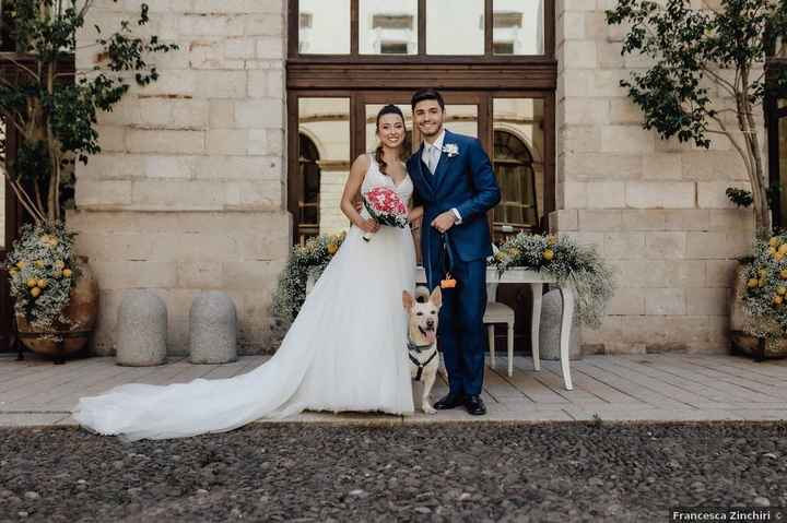 Tu feras aussi une photo de famille ? 🐶 - 1