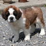 Océane