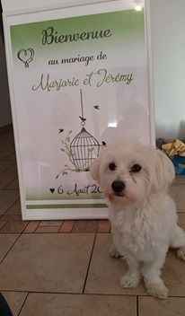 Affiche de bienvenue