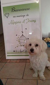 Affiche de bienvenue