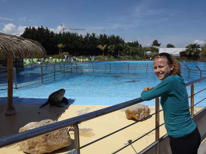 un petit tour du coté des otaries
