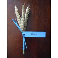 Décoration centre de table, help ! - 2