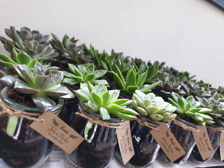 Succulentes pour les invités