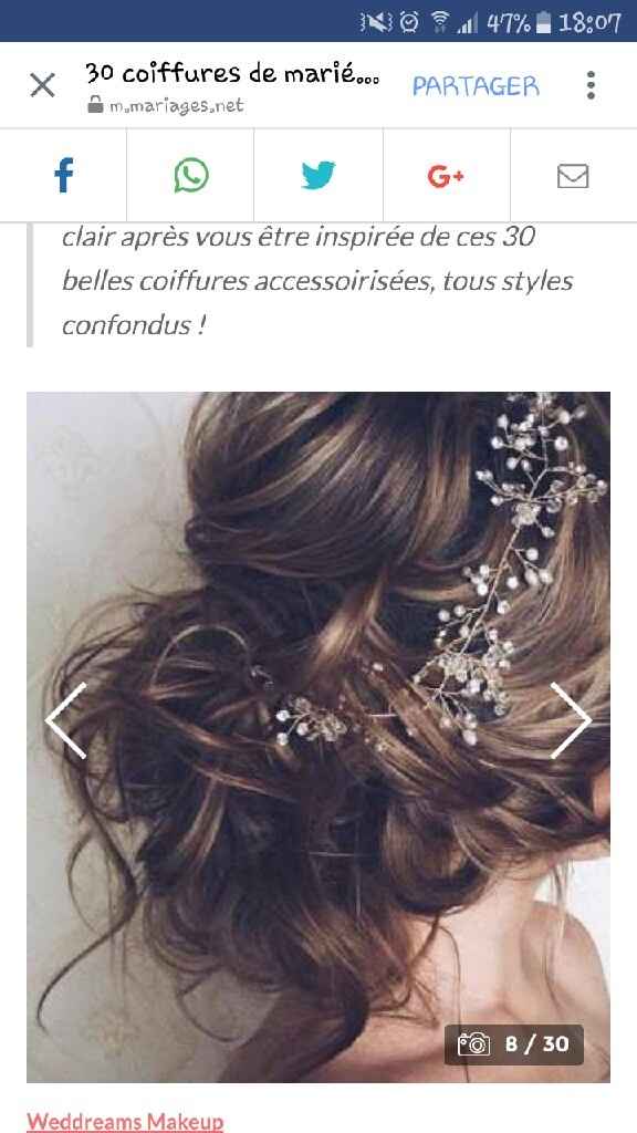 Accessoire cheveux - 1