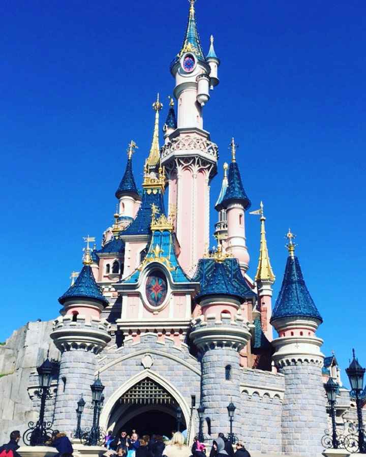 Château de la Belle au bois dormant 