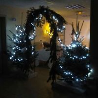 Voili voilou  mon jour est passé - 11