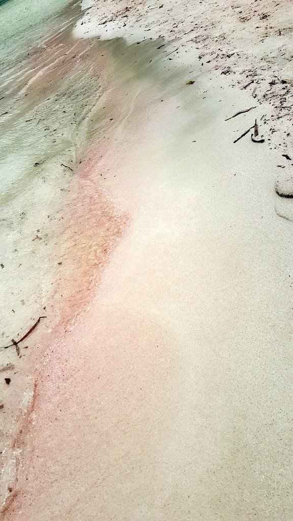 Racontez moi votre demande en mariage - 3