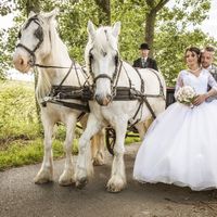 Voilà retour à la réalité - 3