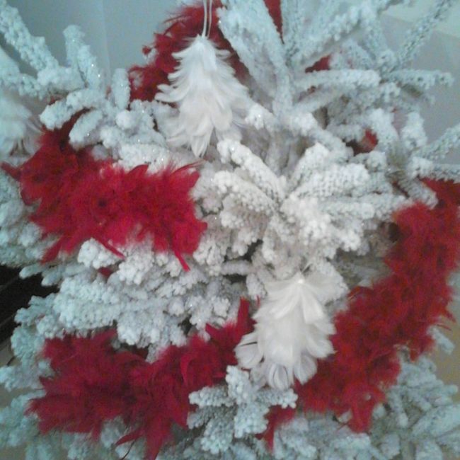 Notre premier sapin!!! - 1