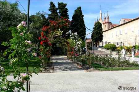 jardin