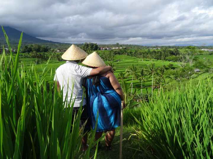 VDN - BALI - Jatiluwih Rice terrace