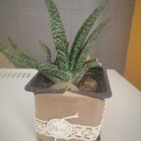 Je vous partage ma déco - 3