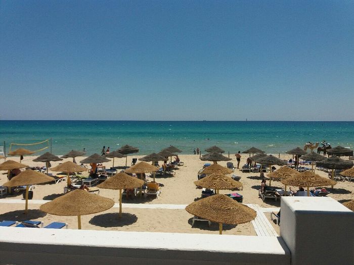 L'une de miel via tunisia - 2