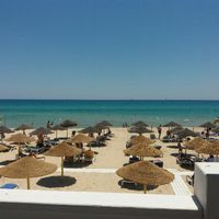 L'une de miel via tunisia - 2