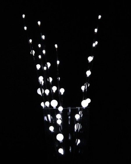 les branches lumineuses 