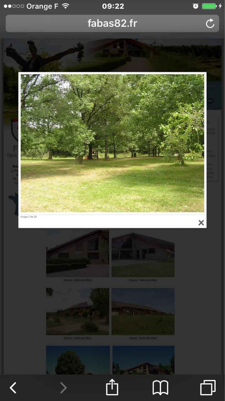 Le mariage se prepare - 1