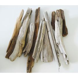 Petite collection de bois flotté