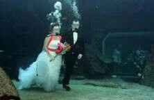 Mariage sous l'océan - 3