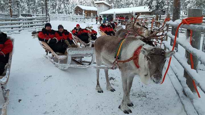 Voyage de noce en Laponie - 1
