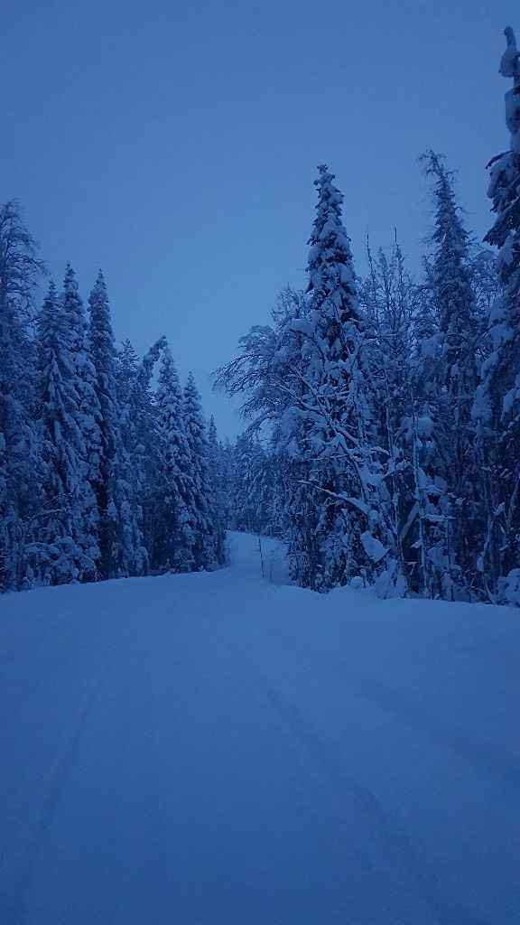 Voyage de noce en Laponie - 8