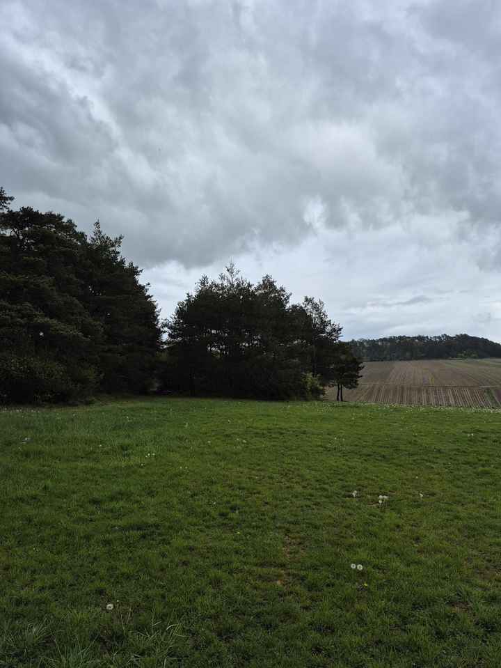 Comment choisir l'endroit où réaliser ses photos 📸 - 1