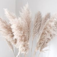 Décoration - que mettre dans mes vases ? - 2