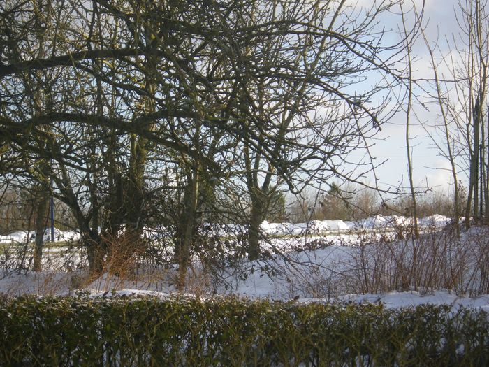 Neige en Normandie