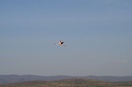 Kisima Ngeda Tented Camp