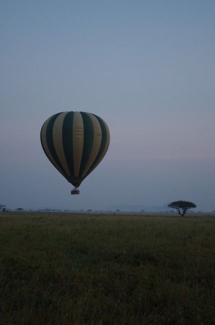 Montgolfière au dessus du Serengeti