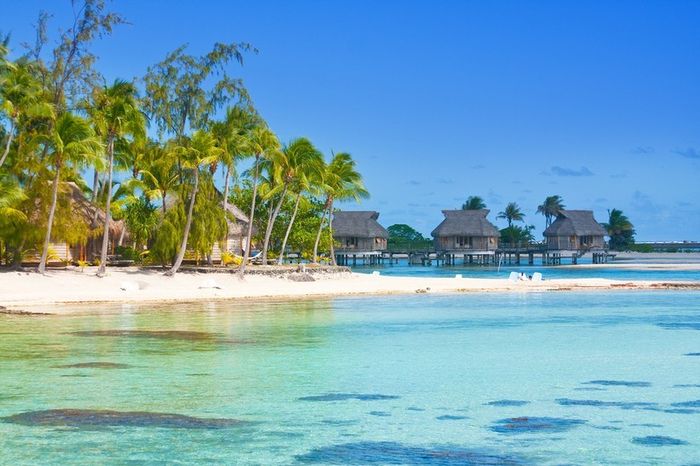 Lune de miel : Plutôt ville, mer ou montagne ? 🏙️ 🏖️ 🏕️ 3