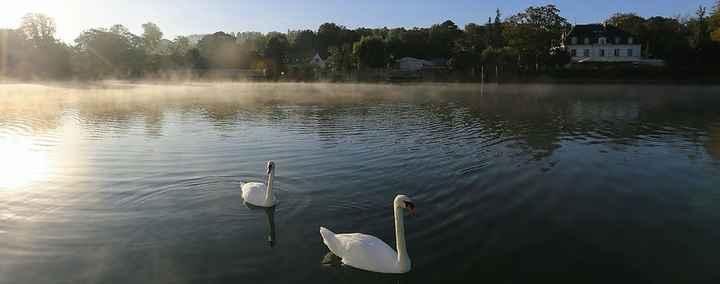 Lac du Manoir des cygnes