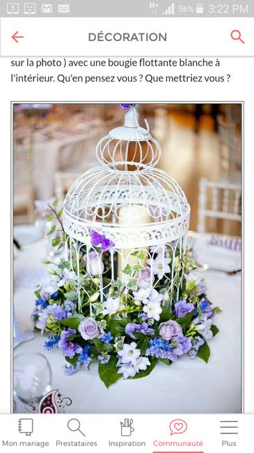 mes cages a oiseaux