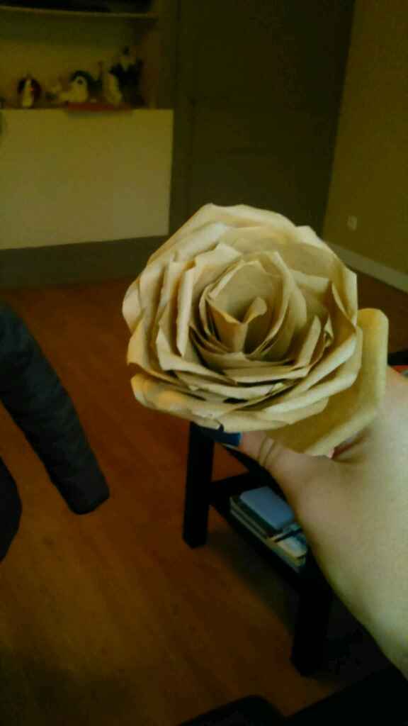 Rose en filtre a café au secours !! - 1