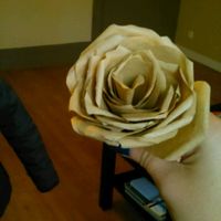 Rose en filtre a café au secours !! - 1