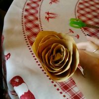 Rose en filtre a café au secours !! - 1