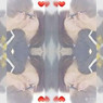Angiie