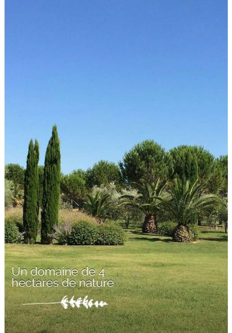 ✨ Mon lieu pour les photos de couple ✨ - 6