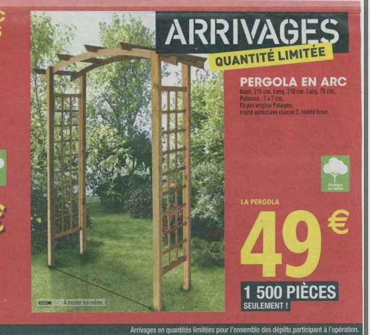 ✨Bon Plan Arche ✨ - 1