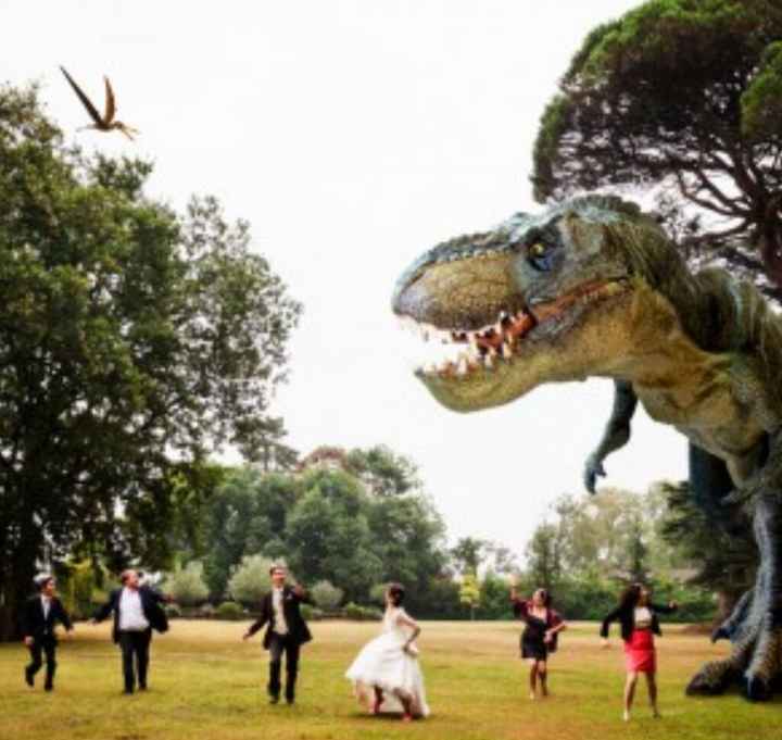 Du fun pour vos photos - 5